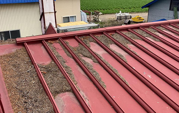 屋根塗り替え（オメガタイプ）Before